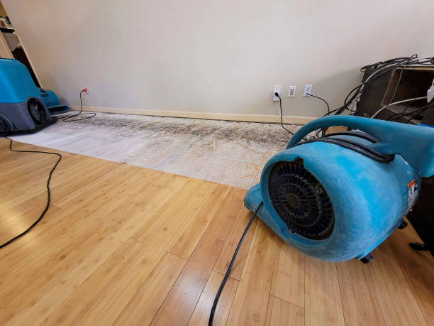 Professional Water Extraction technician working in Newton, IL